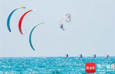 破碎的动物图形2